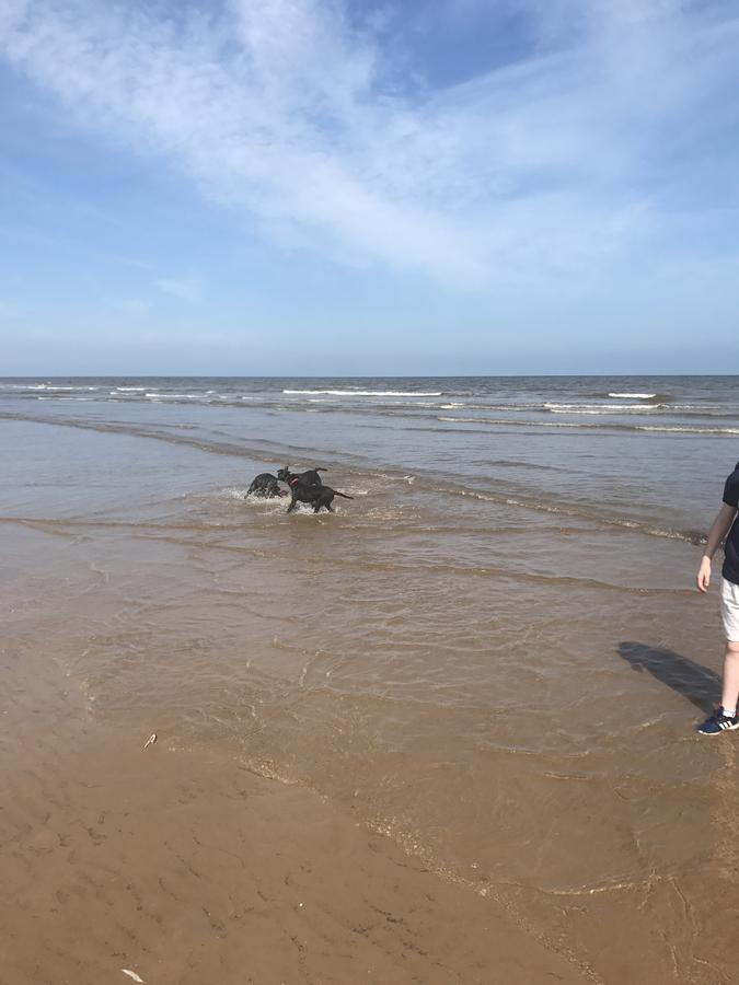 Rickardos holiday lets ltd Mablethorpe Exteriör bild